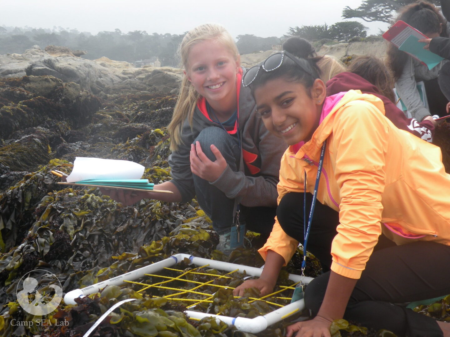 A group of people standing around seaweed in the ocean.