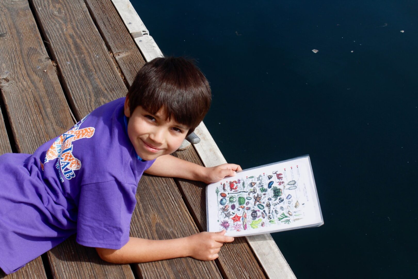 A boy is holding up a book with stickers on it.