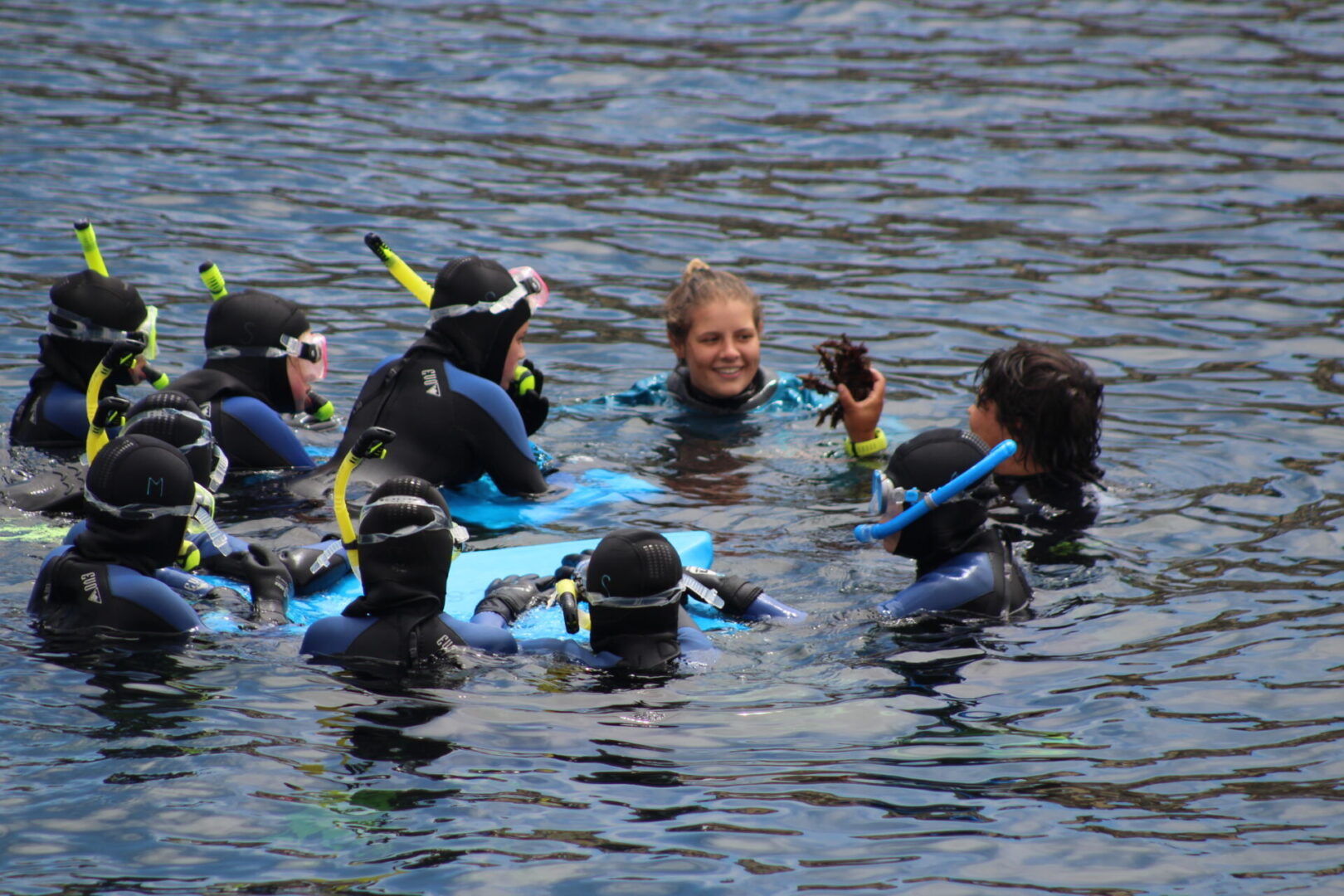 A group of people in the water with scuba gear.