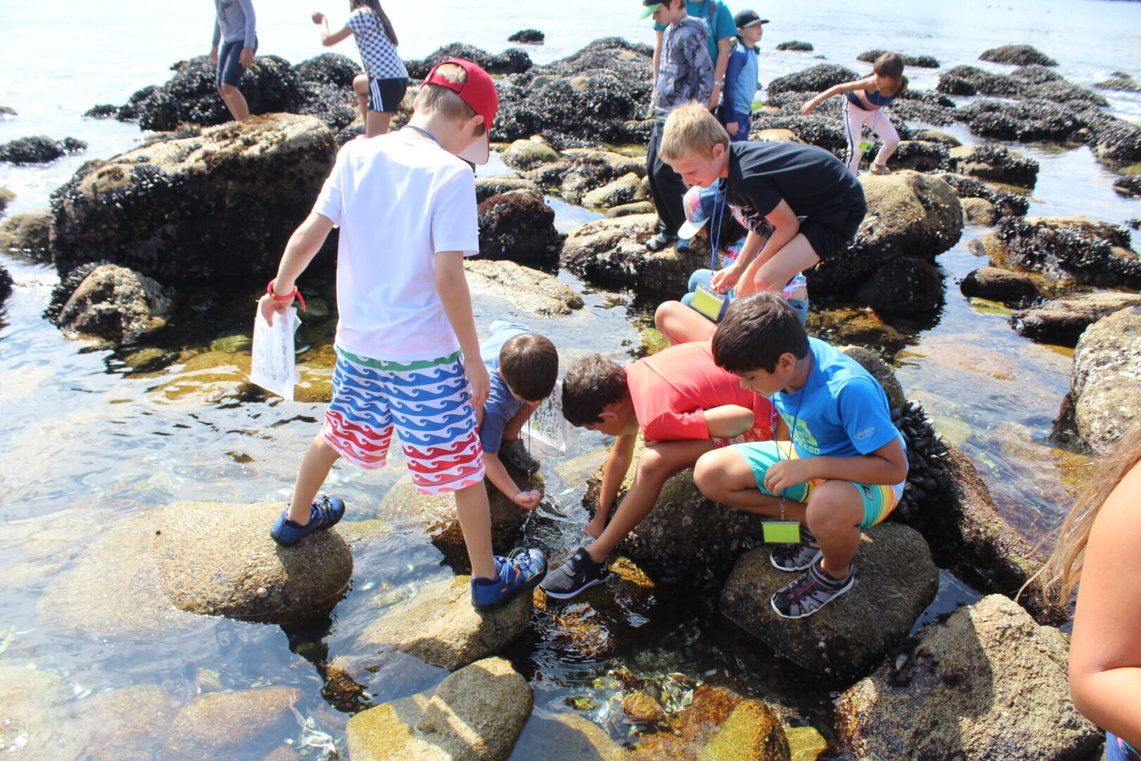 Our Summer Camp Promises Fun and Learning Camp SEA Lab