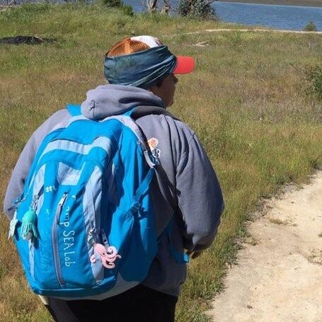 A person with a backpack walking on the side of a path.