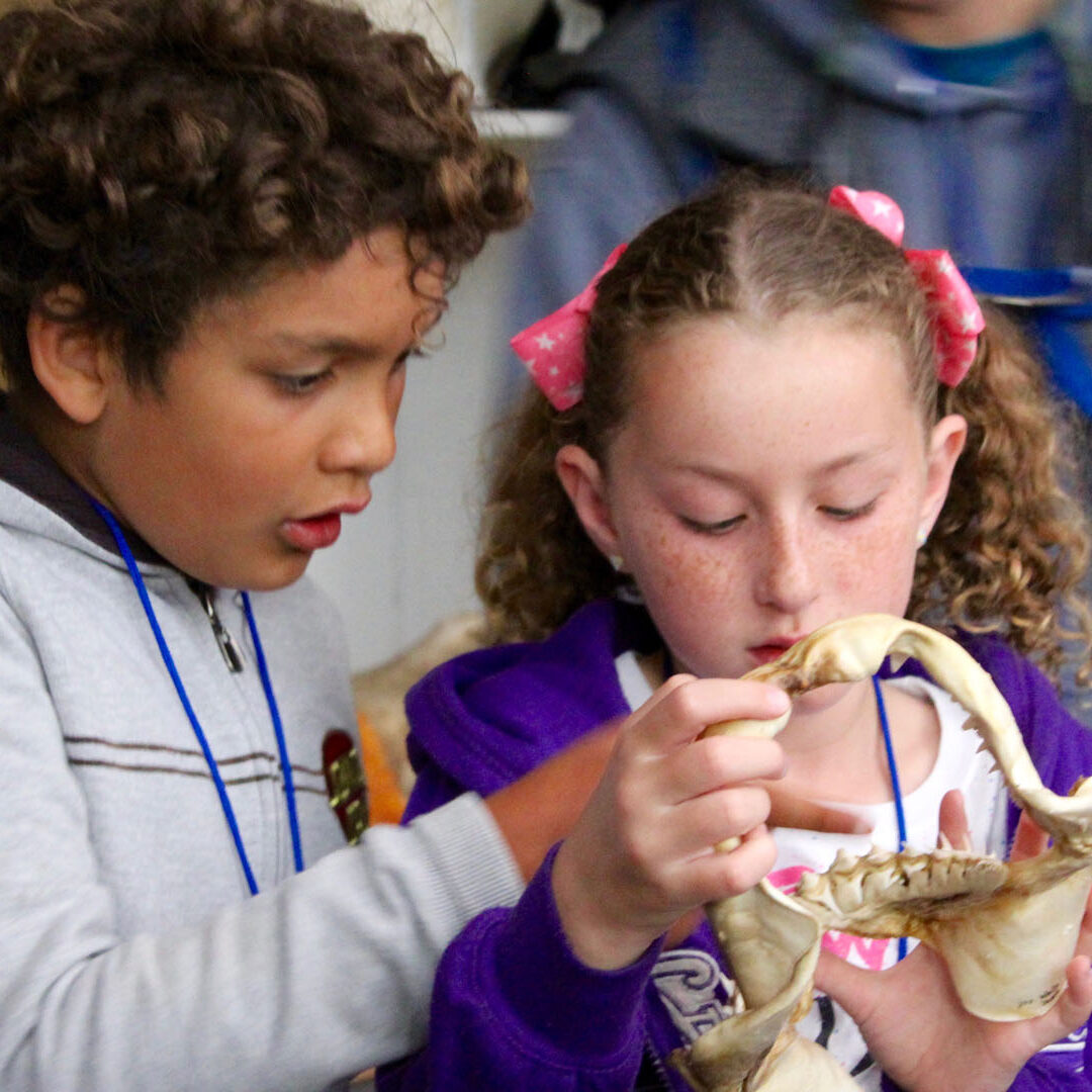 A boy and girl are eating bananas together.