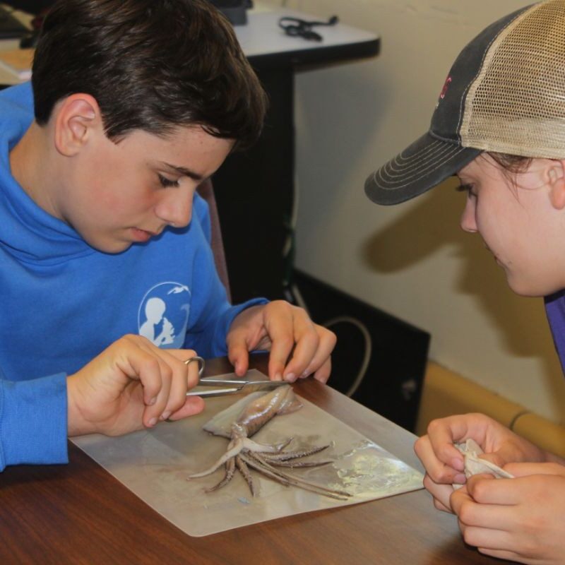 Two boys are working on a project together.